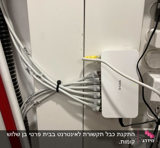 מתג רשת D-Link עם כבלים מחוברים